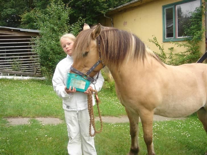 Anden særlig race Polle R.I.P ;´( - jeg giver Polle sliksten   billede 4