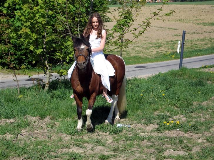 Anden særlig race Maj Rose - Ikke part mere billede 2