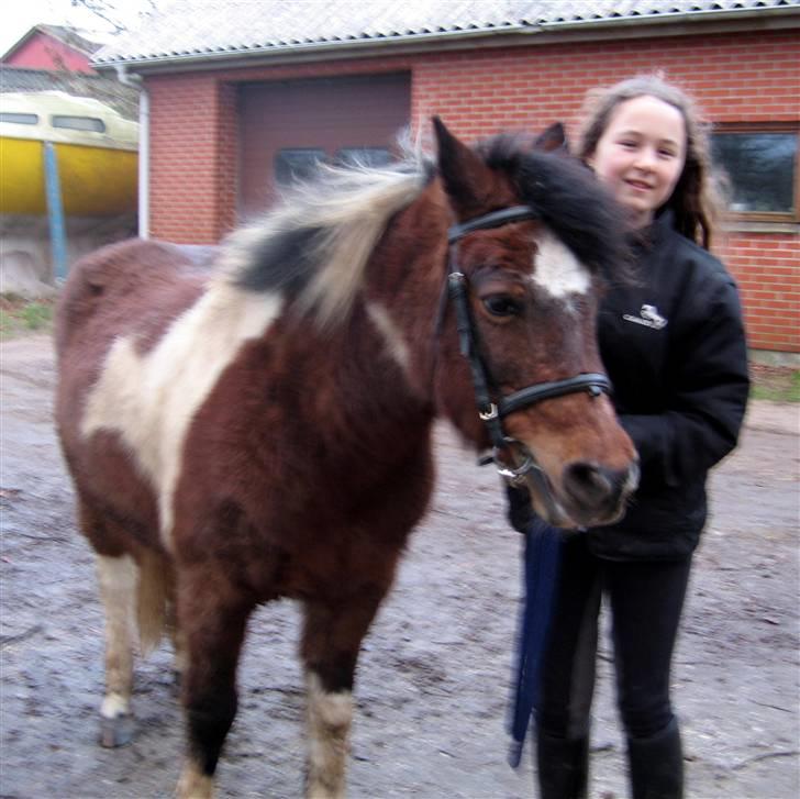Anden særlig race Maj Rose - Ikke part mere billede 7