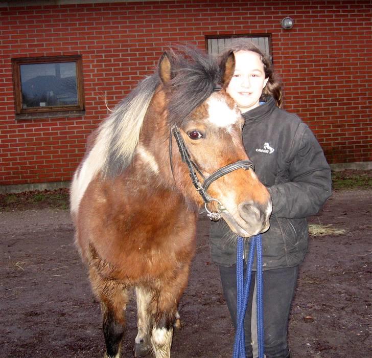 Anden særlig race Maj Rose - Ikke part mere billede 8