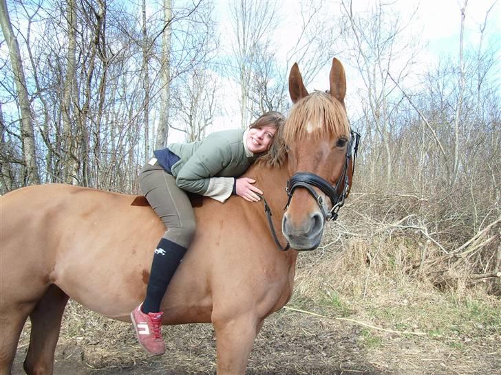 Anden særlig race Diamond [R.I.P] - Os for evigt <3 billede 17