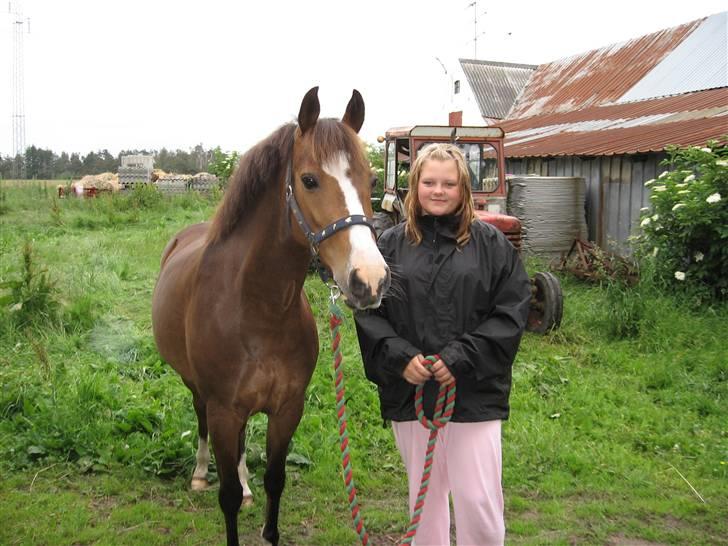 New Forest Tic-Tacs(solgt) - De bedste venner<3<3 billede 6