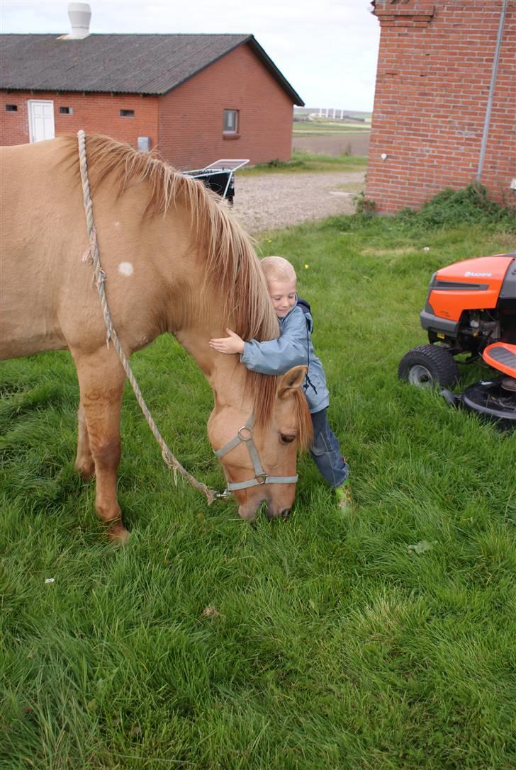 Anden særlig race Topsy *død* Savnes - Birk er meget glad for Topsy. billede 12