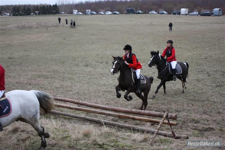 DSP Red Lady -  tidl. pony R.I.P :'( - Babyjagt 2010 - Lady og jeg der springer - Milz og Honey der rider bagved lady (: billede 9