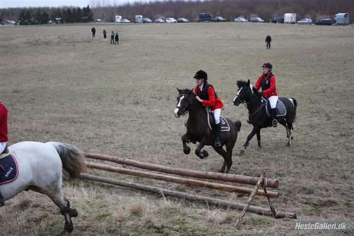 DSP Red Lady -  tidl. pony R.I.P :'( - Babyjagt 2010 - Lady og jeg der springer - Milz og Honey der rider bagved lady (: billede 9