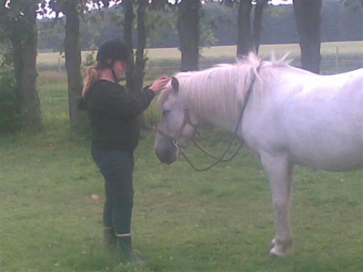 Anden særlig race - Amanda - Nusse Nusse<3<3<3<3<3<3<3<3 billede 14