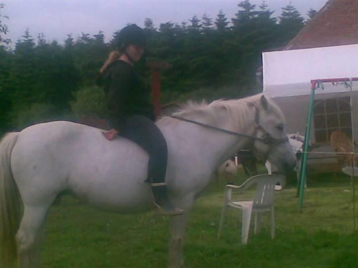 Anden særlig race - Amanda - Mig på den smukke<3<3<3 billede 16