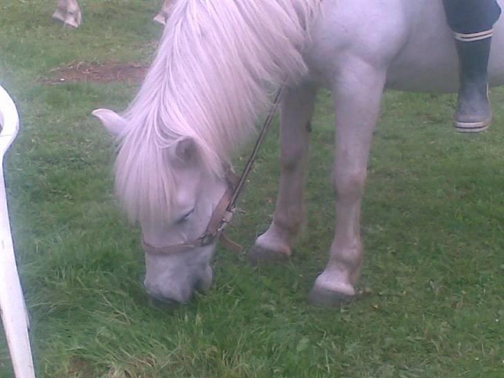 Anden særlig race - Amanda - Æde æde.... sulten Amanda??? billede 18