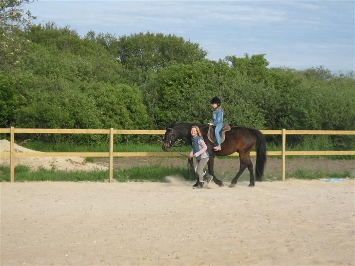 Traver hertug - en lille pige seder på mig så jeg skal gå fin billede 13