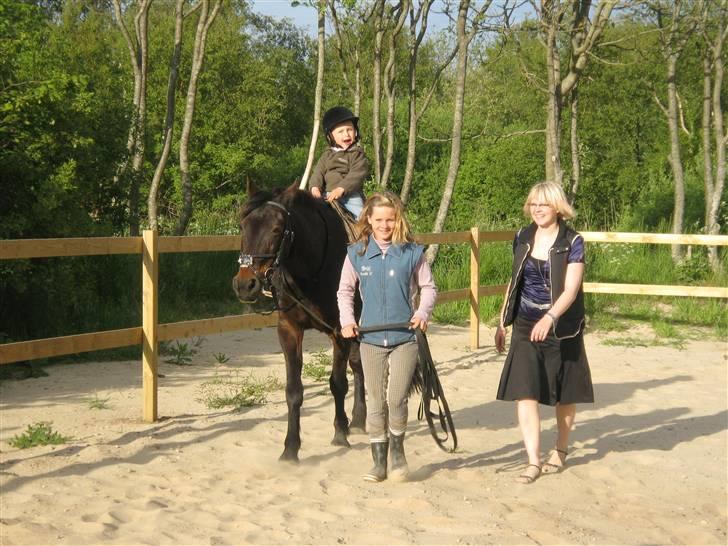 Traver hertug - Drengen synd det er sej og ride billede 15