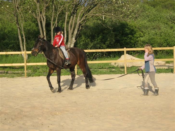 Traver hertug - så er det charlotte der lige skal op og ride på mig hihi :) billede 16