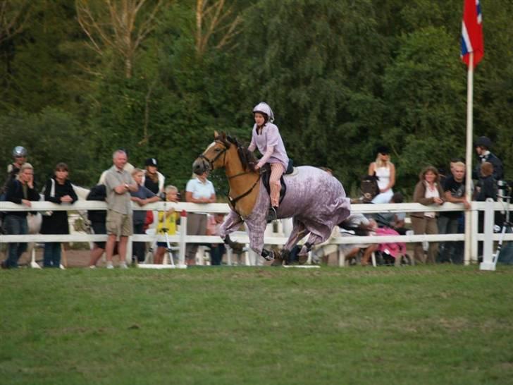 Anden særlig race Golden Lady (Solgt) - Jysk rideuge 2007 <3 gæt hvem der vandt udklædning? :D <3 billede 3