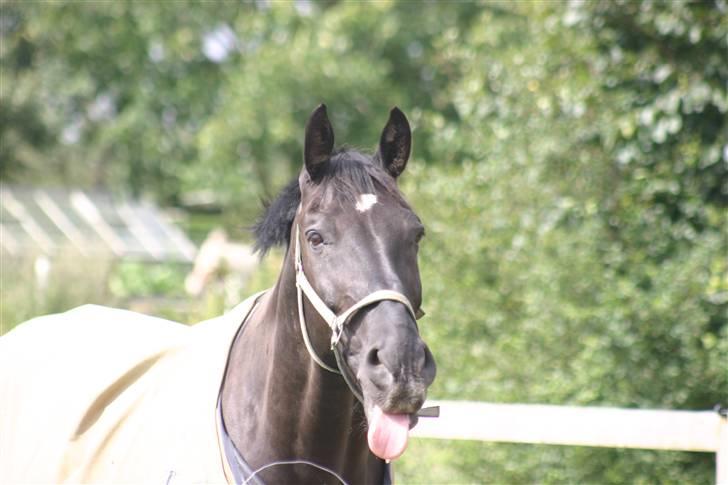 Oldenborg Loberg´s Lillemand - Muuums Vand :D billede 4