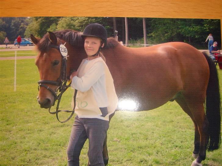 DSP Bally - Her er vi til hippoaden i Knuthenborgpark. Vi havde en rigtig hyggelig tur. (2006) billede 2