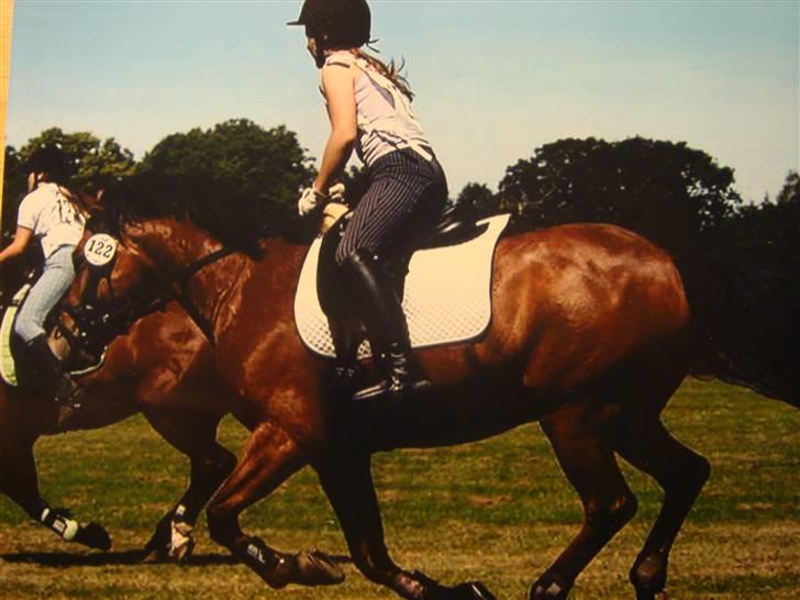 DSP Bally - Her går det i fuld gallop mod målstregen. (hippoaden 2007) billede 4