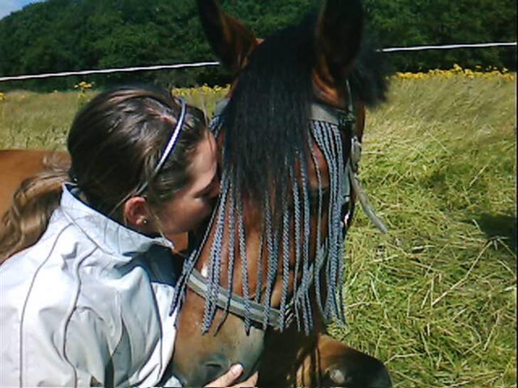 New Forest Texas (Solgt) - Mig og Texas , lidt hygge på folden :´) billede 5