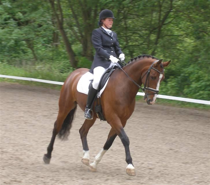 Dansk Varmblod Kalumhus' Kazio - La2 - Første c-stævne Aabenraa Rideklub 2009 billede 14