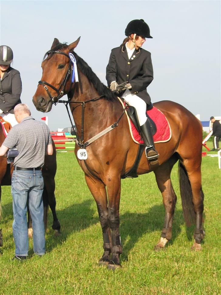 Holstener Lexington billede 1