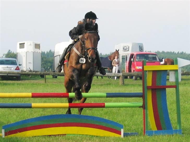 Holstener Lexington billede 12