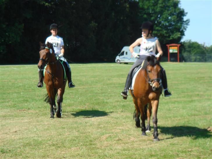 DSP Bally - Så kom vi i mål:)  (Hippoaden 2007) billede 11