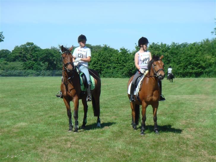 DSP Bally - så skal vi bare hen og sadle af, og så til dyrelægetjek. (Hippoaden 2007) billede 12