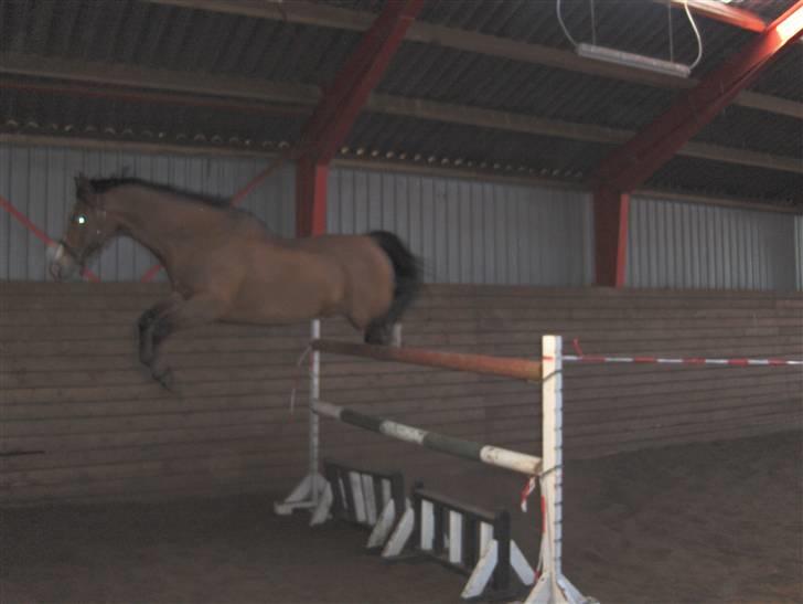 Sportsaraber (A) Zeppelin - tjah...her passerer han så de 1.53...barnemad(; billede 5