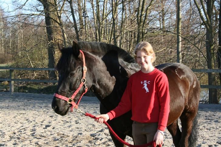 New Forest Olympic Concorde - her er vi ridebanen se hvor sød concorde er billede 15