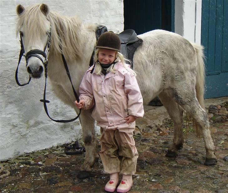 Anden særlig race Sasja R.I.P. billede 5