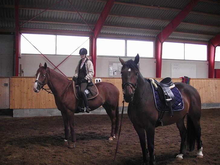 Anden særlig race Malou (SOLGT) R.I.P. <3 - Malou og Cometessa (og mette ovenpå)  07 billede 13