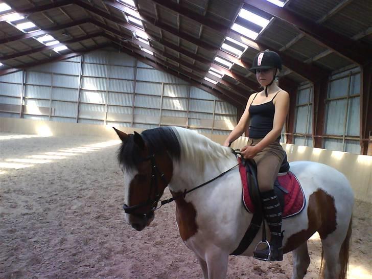 Tinker Jason*DENGANG* - 3 gang jeg sad på ham :SD billede 1