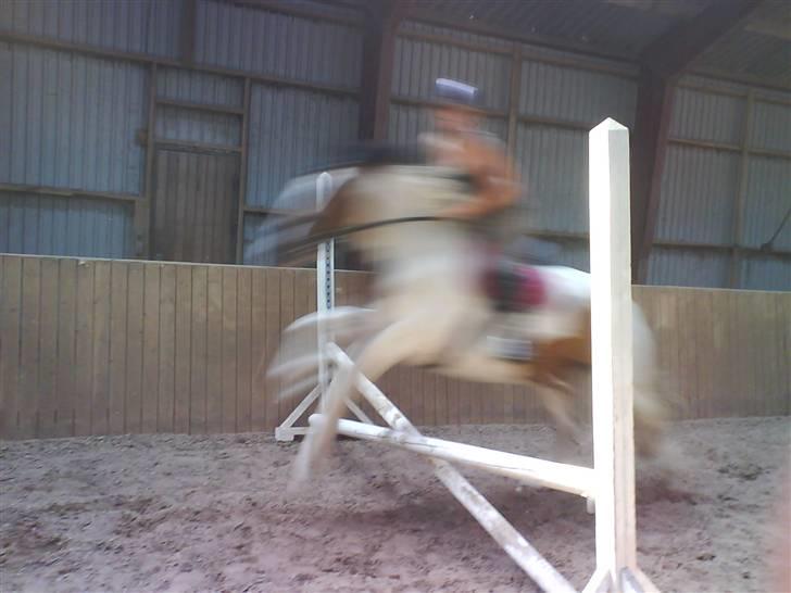 Tinker Jason*DENGANG* - FØRSTE GANG HAN SPRINGER , OG FØRSTE GANG JEG SPRINGER PÅ HAM! billede 3