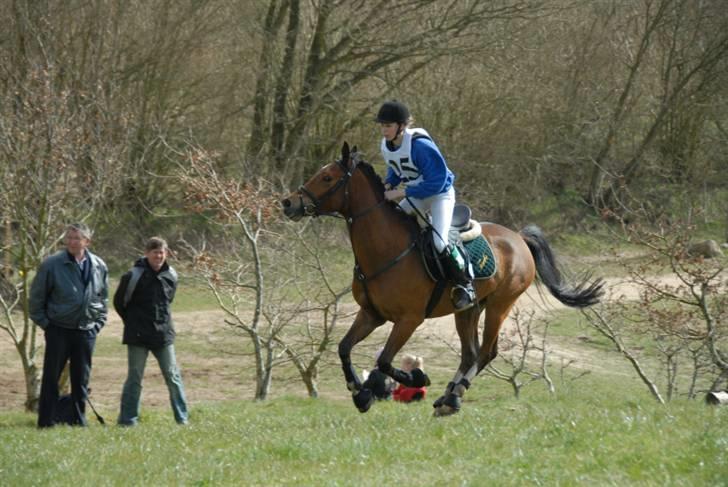 Sportsaraber (A) Turbo +23.12.07+ <3 - En sidste galop på marken med dig, så ville jeg aldrig be om mere! billede 6