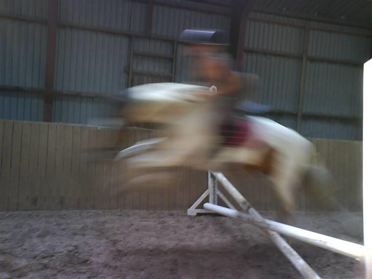 Tinker Jason*DENGANG* - Springer 2. gang :S:S:S:S billede 12