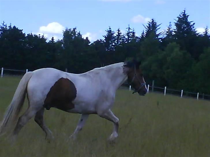 Tinker Jason*DENGANG* - Løbeeeee :? NEj billede 14