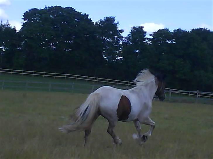 Tinker Jason*DENGANG* - Vi ses Sener :! billede 17