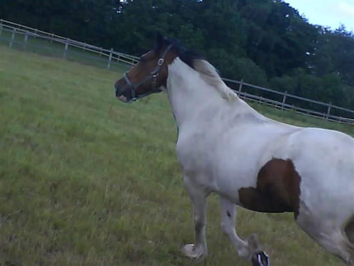 Tinker Jason*DENGANG* - Heer kommer jeg altså! billede 18