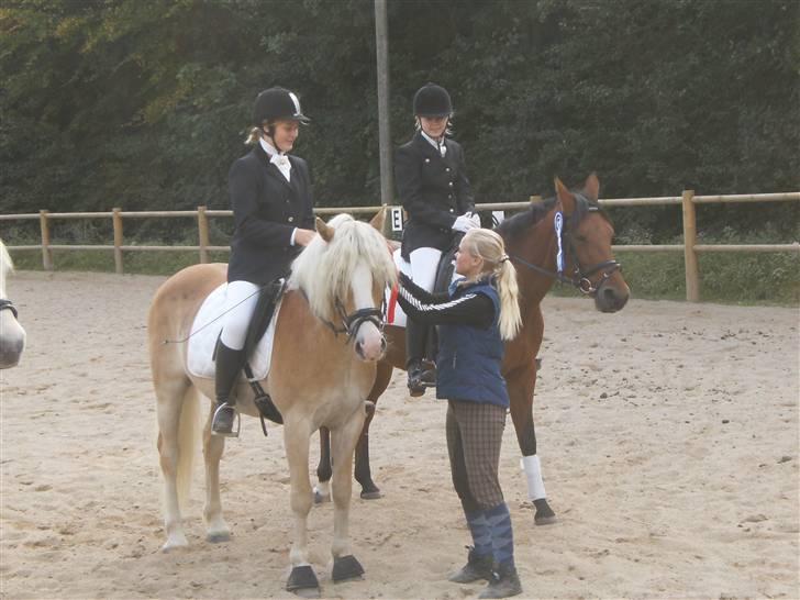 Haflinger Anker Kyhnæb - får 1 plads i dressur :D Rikke & Anker. billede 4