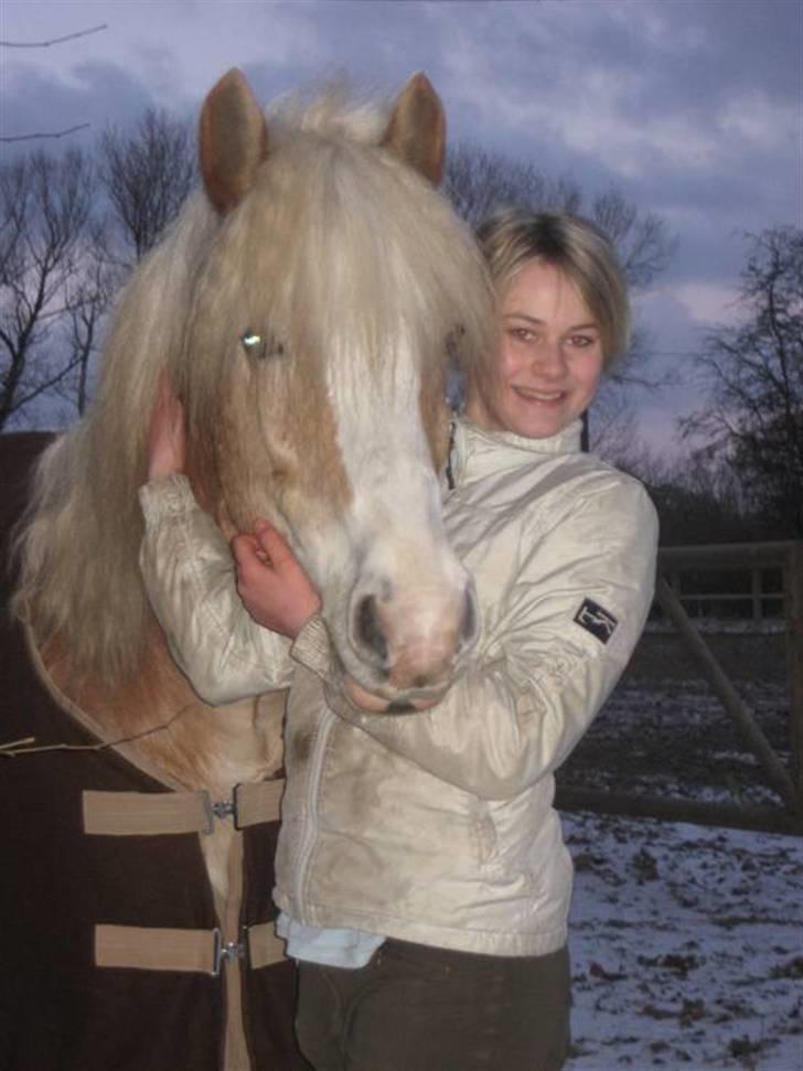 Haflinger Anker Kyhnæb - Rikke og Anker<3<3 billede 9