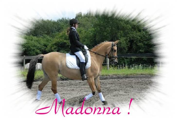 Anden særlig race * Madonna *  R.I.P <3 :'( - klubmesterskab igen billede 4