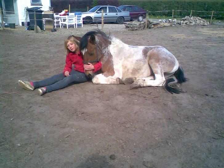 Pinto shades of desire SOLGT billede 20