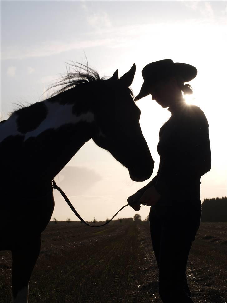 Pinto -Mustang Sally- *Part* - Os to Sally, for evigt.. billede 9