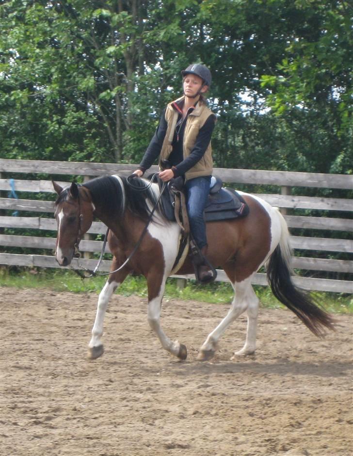 Pinto -Mustang Sally- *Part* - På ridebanen i galop sommer 08 billede 12