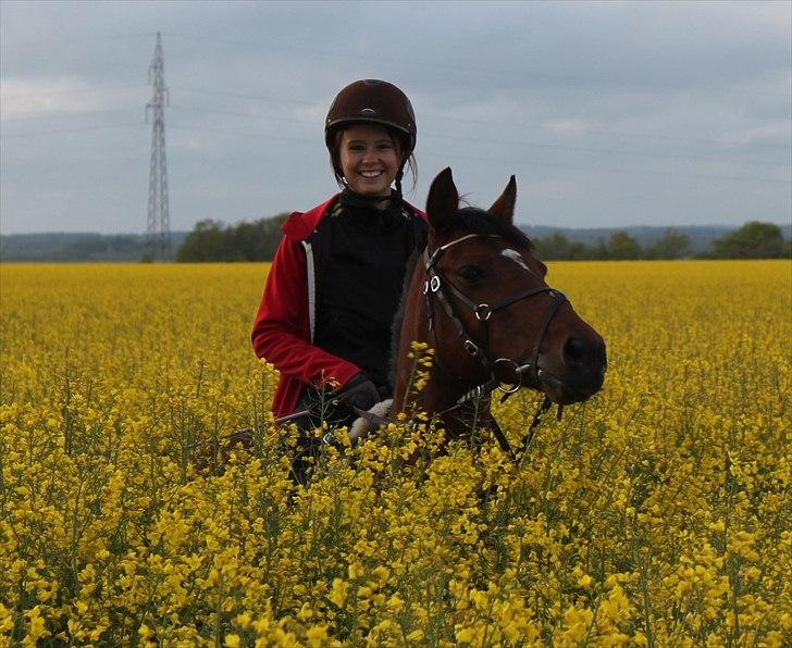 Anden særlig race Bianca billede 3