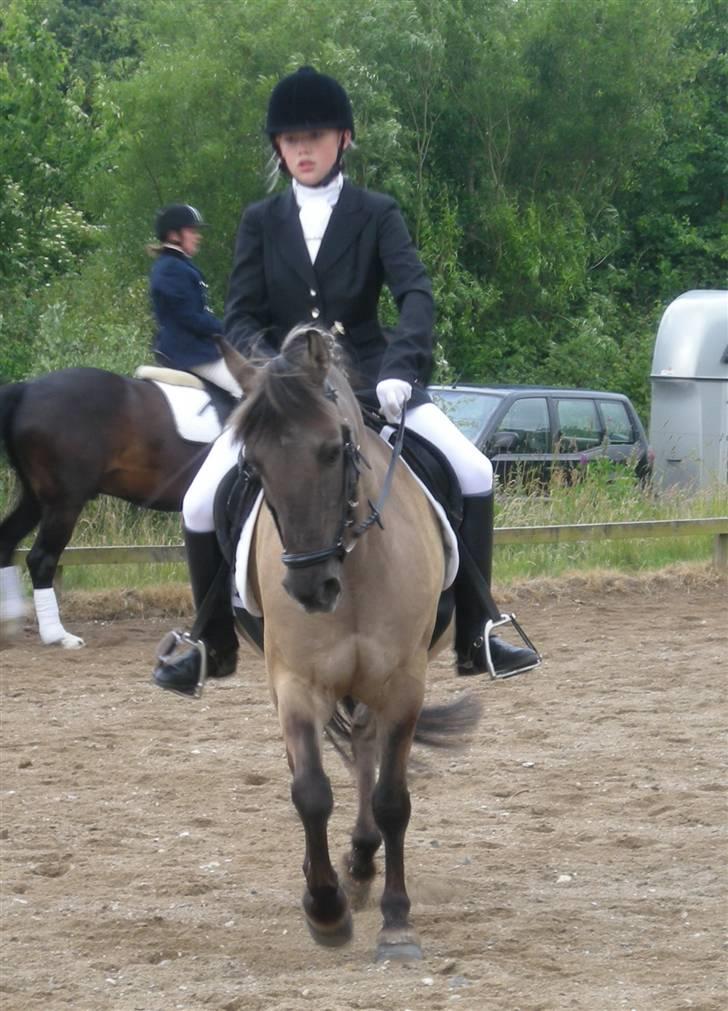 Anden særlig race Lukas - 12) tredje stævne 21-6-08  billede 12