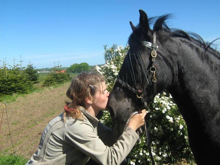 Anden særlig race Yasmin $ilke*solgt - 5: mys mys:) knap 3 år billede 5