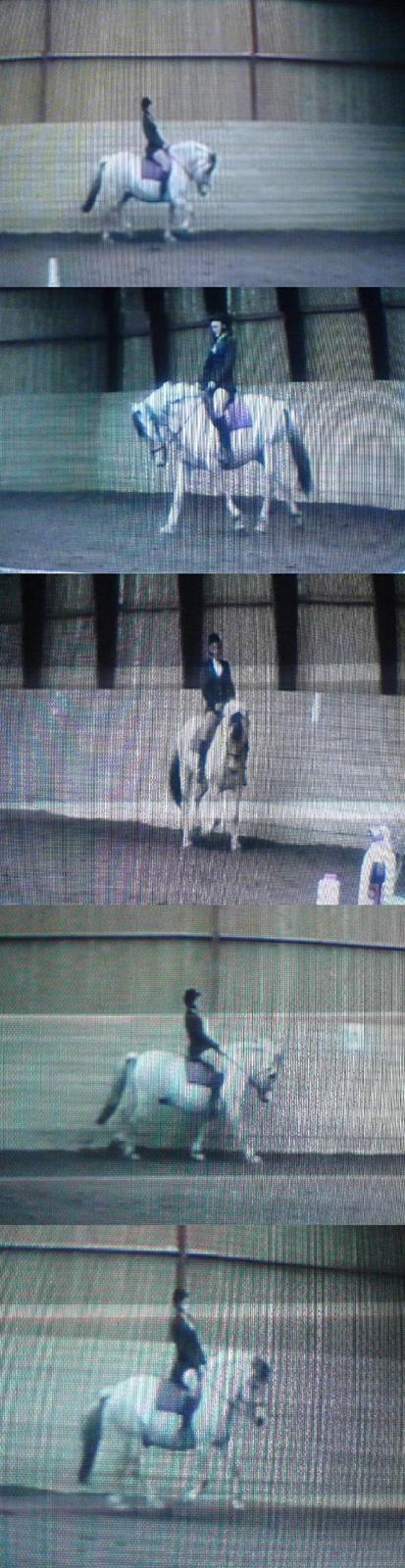 Fjordhest Claus - Gammel Part :'/ - Mig og Claus til stævne i en Lc1´er :D Fik en 4. plads ;) Undskyld kvaliteten taget fra video ! [Fotograf: Mig/Film optager Mormor] billede 16