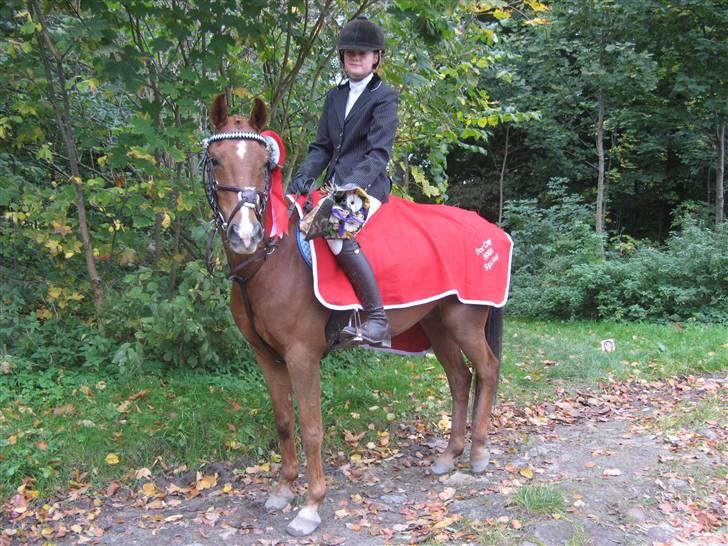 Hollandsk Sportspony Zorro <3 (solgt) - Sara&Zorro vandt for cup 08. verdens beste pony <3(: (foto:mig) billede 2