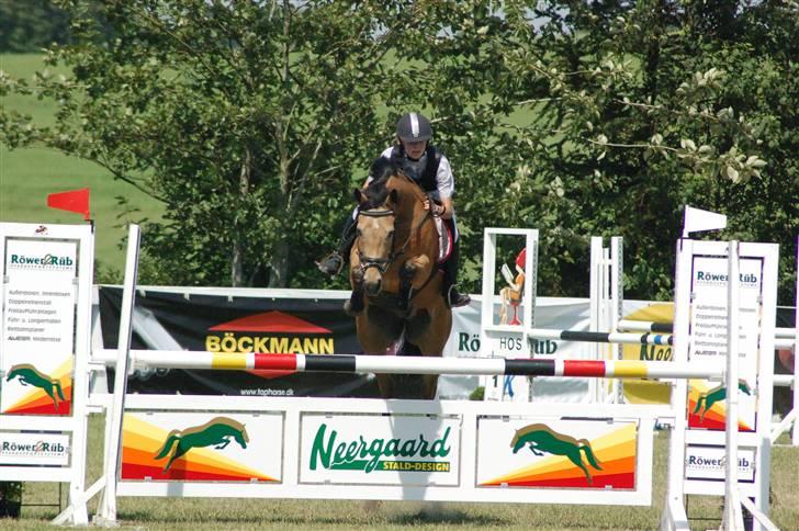 Anden særlig race Orchard Freedom - Solgt  - landsstævne i silkeborg  billede 1