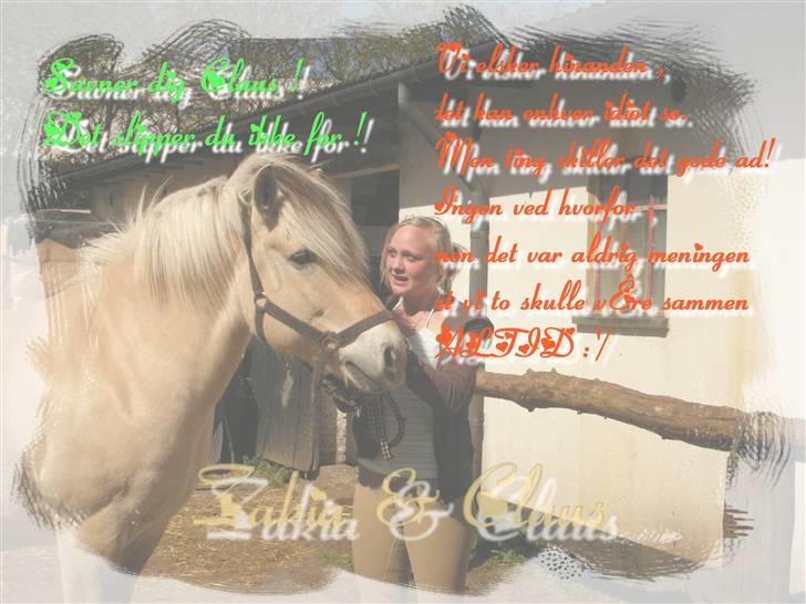 Fjordhest Claus - Gammel Part :'/ - Har lavet et billede :D:D:D [Fotograf: Julie] billede 19