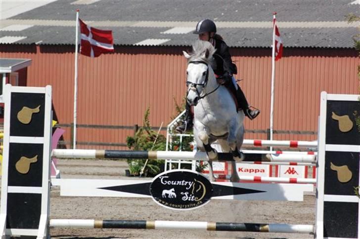 Anden særlig race Sun City - Solgt - Os til landsstævne billede 4